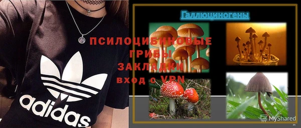 спайс Алзамай