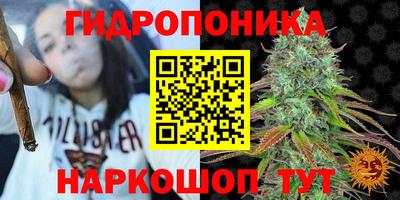 jwh Камышлов