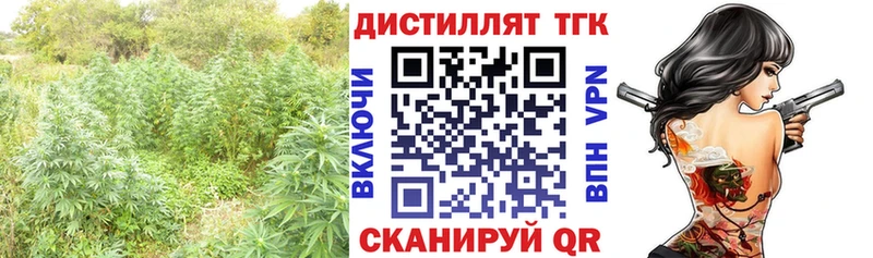 Дистиллят ТГК Wax  Кызыл 