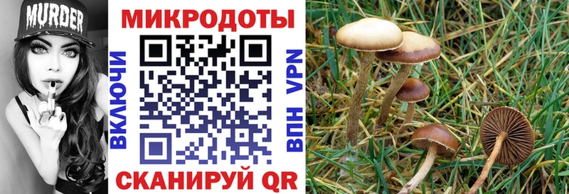 Галлюциногенные грибы GOLDEN TEACHER Кызыл