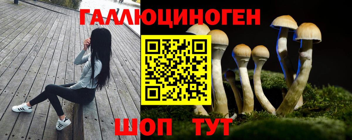 Галлюциногенные грибы мухоморы Кызыл