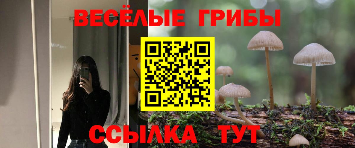Кызыл  Псилоцибиновые грибы Psilocybine cubensis  Вход с VPN 